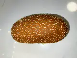 كيس افرنجي سمسم