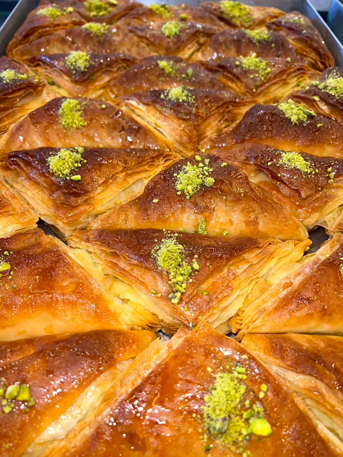 حبة شعيبيات