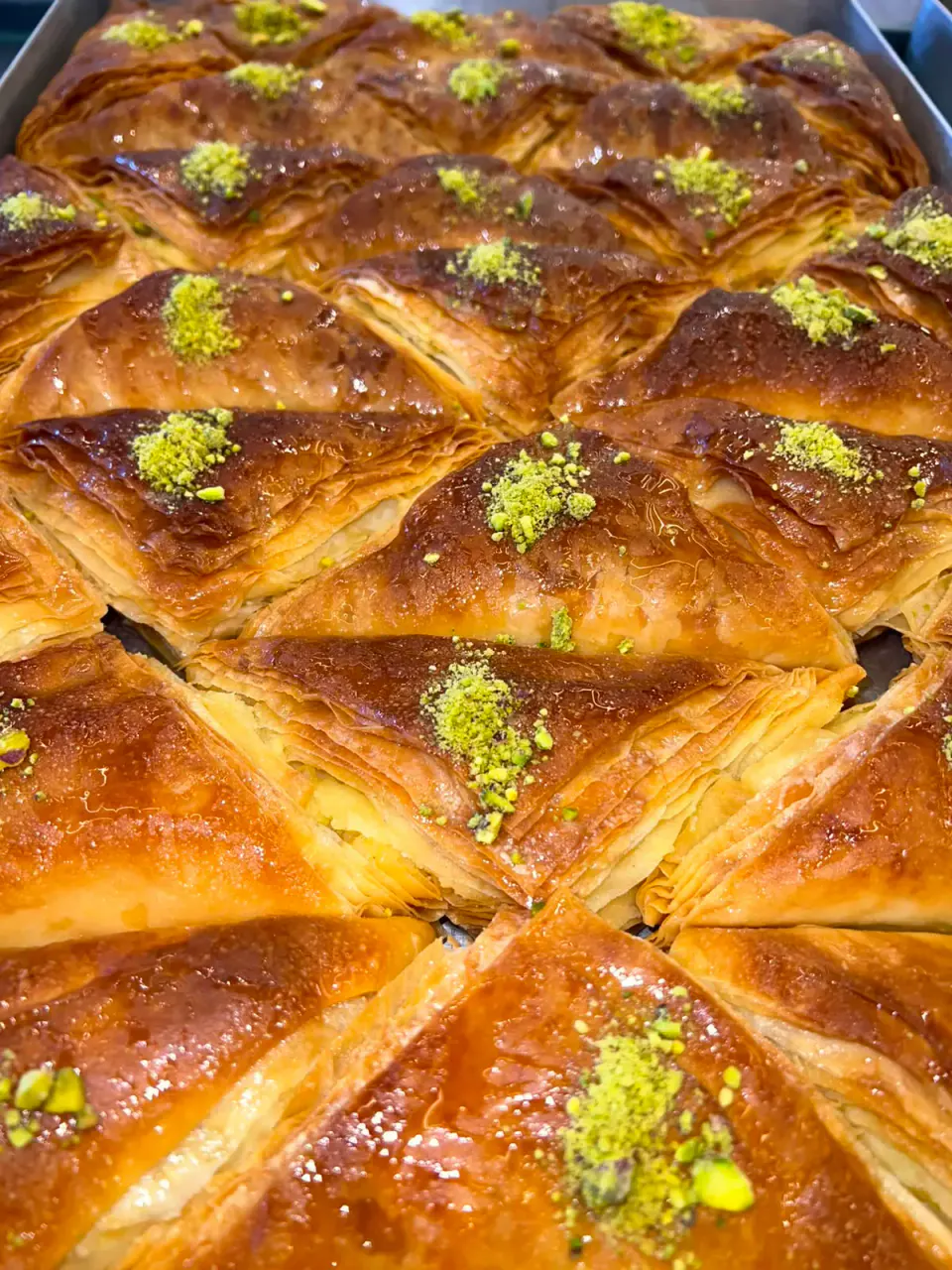 حبة شعيبيات